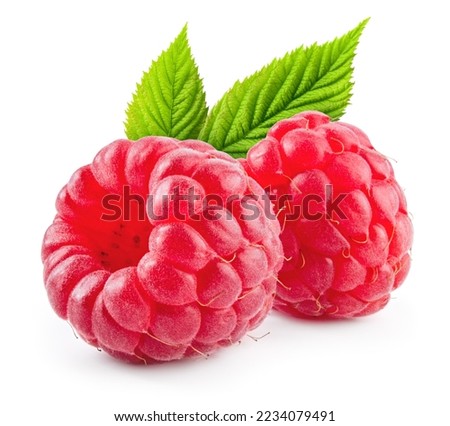 Raspberry isolated. Two raspberries with green leaf isolate. Raspberry with leaves on white background. Full depth of field.