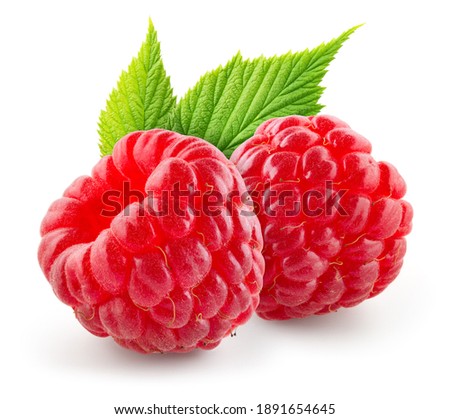 Raspberry isolated. Two red raspberries with green leaf isolate. Raspberry with leaves isolated on white.
