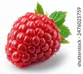 Raspberry with leaves. Raspberry isolated on white background.
