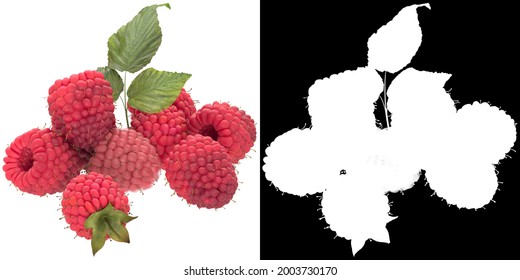 Raspberry On A White Background With Alpha Channel, Png