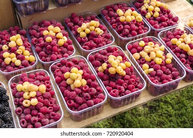 raspberry in plastic boxes