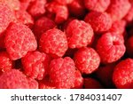 Raspberry. Ripe red berries pattern. Macro photo. Wild berries for making jams, pies, juices, drinks.
