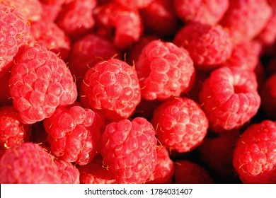 Raspberry. Ripe red berries pattern. Macro photo. Wild berries for making jams, pies, juices, drinks.
