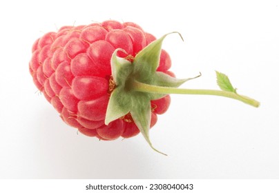 raspberry with stem, fruit, close up, raspberry, isolated