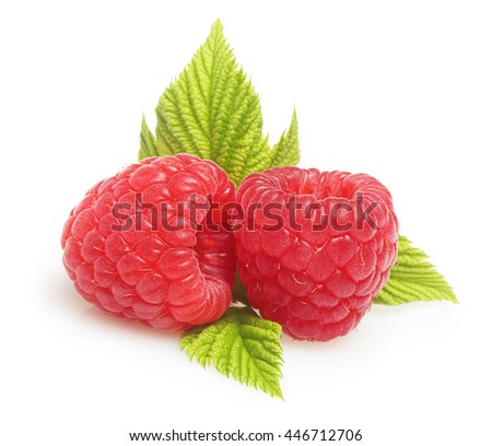 Raspberry twig with ripe berry isolated on white background