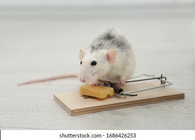 Premium Vector  Mouse trap with cheese isolated on white