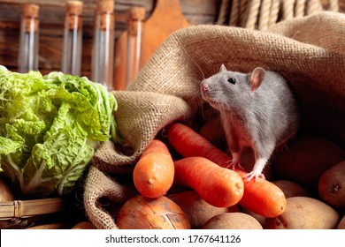 9,067 Pests Kitchen Images, Stock Photos & Vectors 