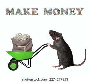 A rat is pushing a trolley full of dollars. Make money. White background. Isolated. - Shutterstock ID 2274279853