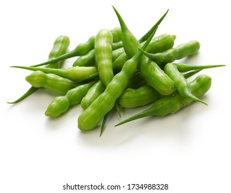 Rat Tail Radish, Edible Seed Pod Of Radish, Indian Food