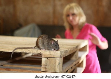 rat and a woman with fear in background