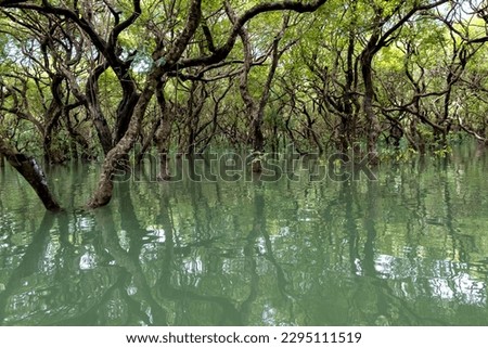 Ratargul Swamp Forest is a freshwater swamp forest located in Gowain River, Fatehpur Union, Gowainghat, Sylhet, Bangladesh.
