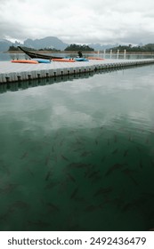 Ratchaprapha Dam , Surat Thani