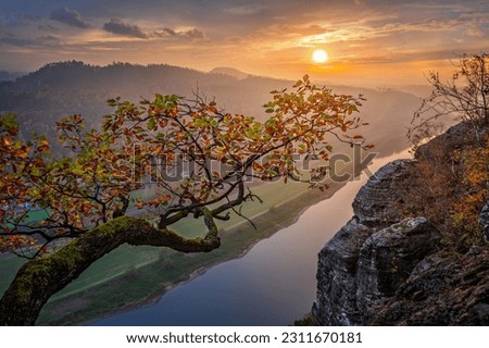 Rathen, Germany - Beautiful autumn sunset scenery at the top of Bastei with bright vivid colured tree leaves above the Elbe river. Orange and green color tree, red brown maple leaves at sunset
