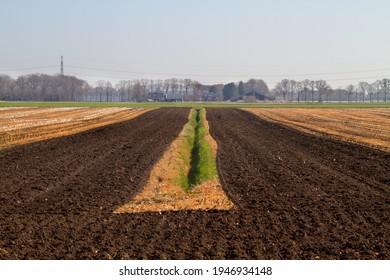 Rational Agriculture In Spring: Straight Lines In A Dull Landscape