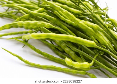 Rat-tailed radish. Fresh organic vegetables - Shutterstock ID 2283038227