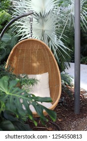 Rattan oval hanging chair with pillow in tropical plant