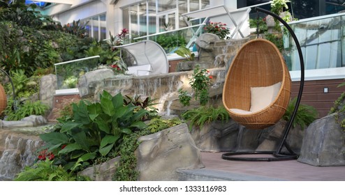 Rattan oval hanging chair witht pillow in tropical plant