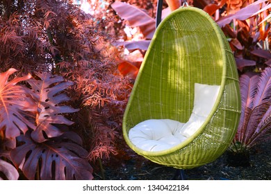 Rattan oval hanging chair witht pillow in tropical plant.