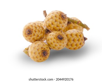 Rattan Palm Fruit An Isolated On White Background