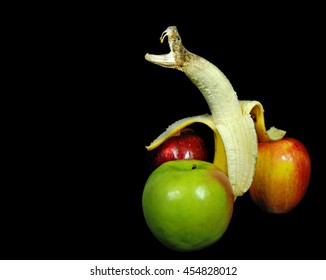 Rattle Snake Head Morphing Out Of Peeled Banana With Apples Isolated On Black