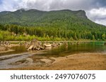 RATTLESNAKE LAKE ON A MISTY MORNING WITH RATTLESNAKE RIDGE THE LAKE AND EXPOSED STUMPS AND MUDDY SHORELINE IN NORTHBEND WASHINGTON