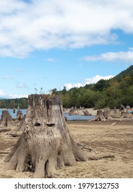 Rattlesnake Lake In Washington State