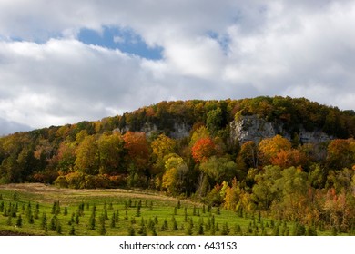 Rattlesnake Point On The Niagara Escarpment