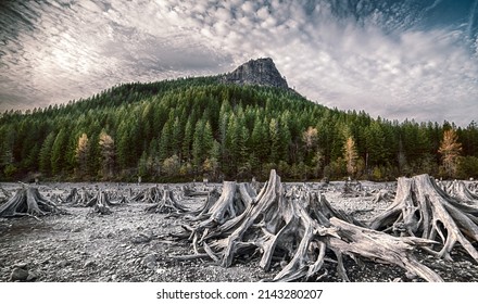 Rattlesnake Ridge North Bend, Washington