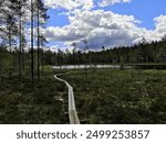 Rautavaara, Finland, June 22 2024. The man built new duckboards to the pond. 