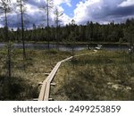 Rautavaara, Finland, June 22 2024. The man built new duckboards to the pond. 