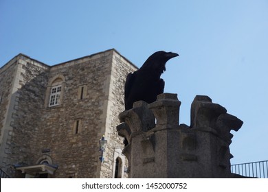 Raven Bird At Tower Of London, UK