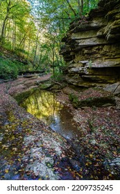 Raven Run creek and ravine in Raven Run Nature Sanctuary in Lexington, Kentucky - Shutterstock ID 2209735245