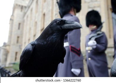 Raven At The Tower Of London With Guards