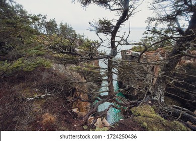 The Raven's Nest, Rugged Maine Coastline In Acadia N.P.