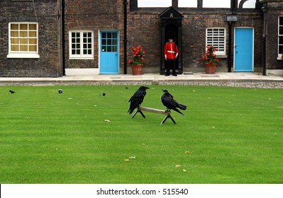 Tower Of London Raven Images Stock Photos Vectors Shutterstock