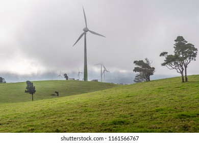 Ravenshoe, Queensland, Australia - July 23 2018: Windy Hill Wind Farm