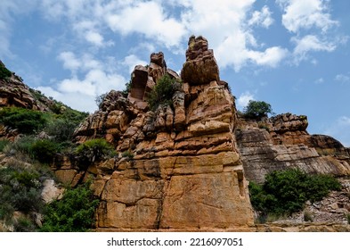 Ravine Of Calcareous Rock Salty With Pines