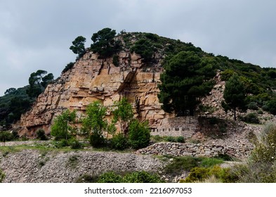 Ravine Of Calcareous Rock Salty With Pines