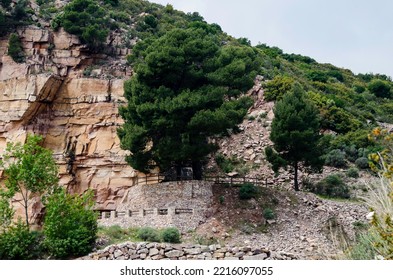 Ravine Of Calcareous Rock Salty With Pines