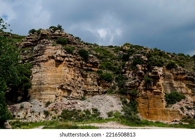 Ravine Of Calcareous Rock Salty With Pines