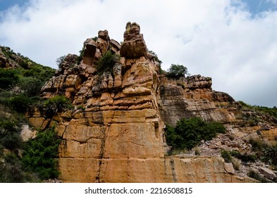 Ravine Of Calcareous Rock Salty With Pines