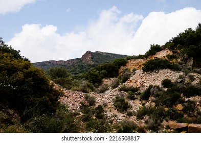 Ravine Of Calcareous Rock Salty With Pines