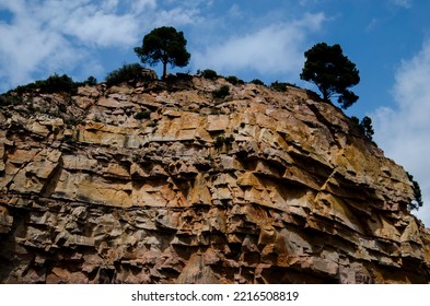 Ravine Of Calcareous Rock Salty With Pines