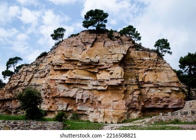 Ravine Of Calcareous Rock Salty With Pines