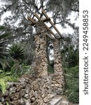 Ravine Gardens in Palatka, Florida - old stone work