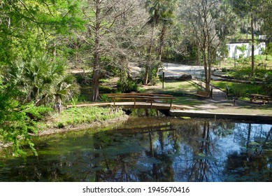 Ravine Gardens State Park, a Florida State Park in Palatka, Florida. Picnic areas, gardens, hiking trails, bridge and pond.  - Powered by Shutterstock