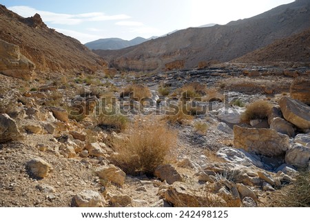  Ravine in Negev desert, Israel                              