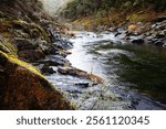 Ravine with rocky river shore covered in moss, North Fork American River in Colfax, California 