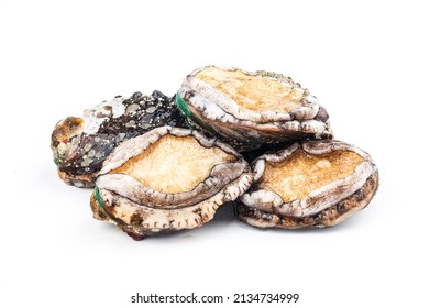 Raw abalones on the white background