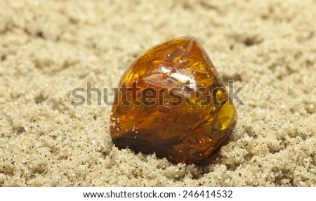 Similar – Amber at the Baltic Sea beach